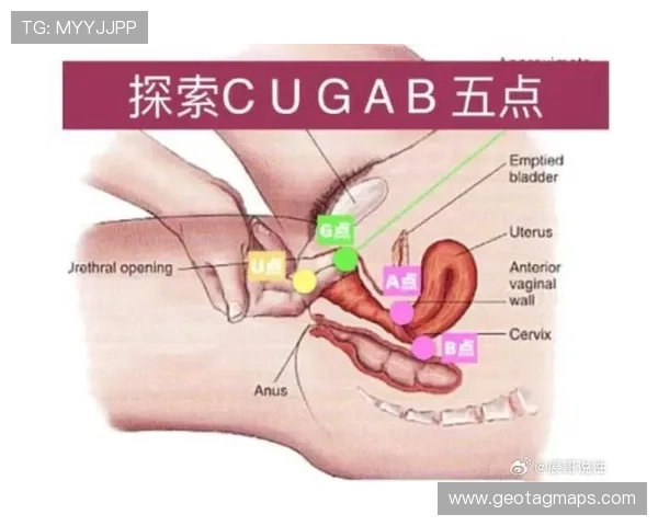 提升真人BG互动体验的五大技巧让你玩得更尽兴更投入 提升真人BG互动体验的五大技巧让你玩得更尽兴更投入