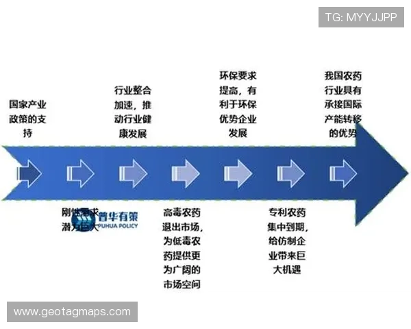 详细解析AG亚网站进入LY的最新动态及其对玩家的影响与未来发展趋势