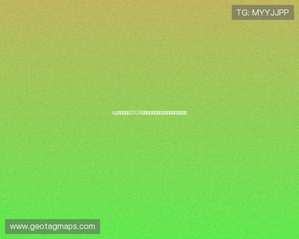ag百家官网：2026世界杯现场氛围与球迷互动体验全景报道